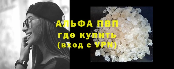 сатива Осинники
