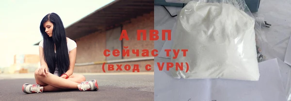 ГАЛЛЮЦИНОГЕННЫЕ ГРИБЫ Дегтярск