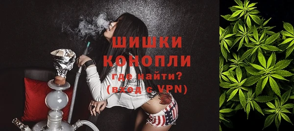 сатива Осинники