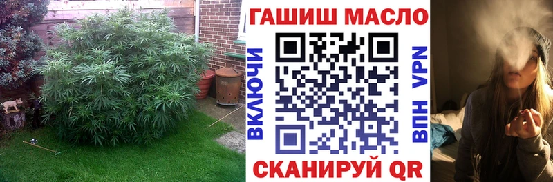 Дистиллят ТГК концентрат  kraken ONION  Лакинск 