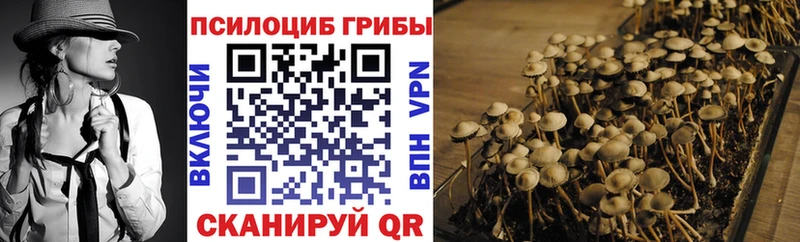 Псилоцибиновые грибы Cubensis  Лакинск 